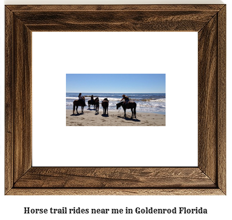 horse trail rides near me in Goldenrod, Florida